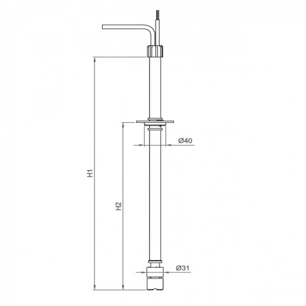Abmessungen Sauglanze